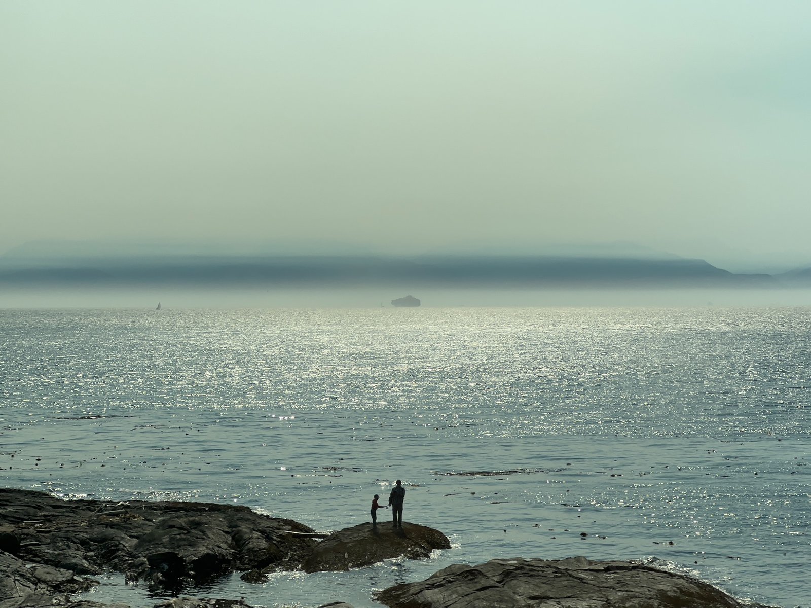father-and-child-rocky-shore-victoria-bc-silhouette